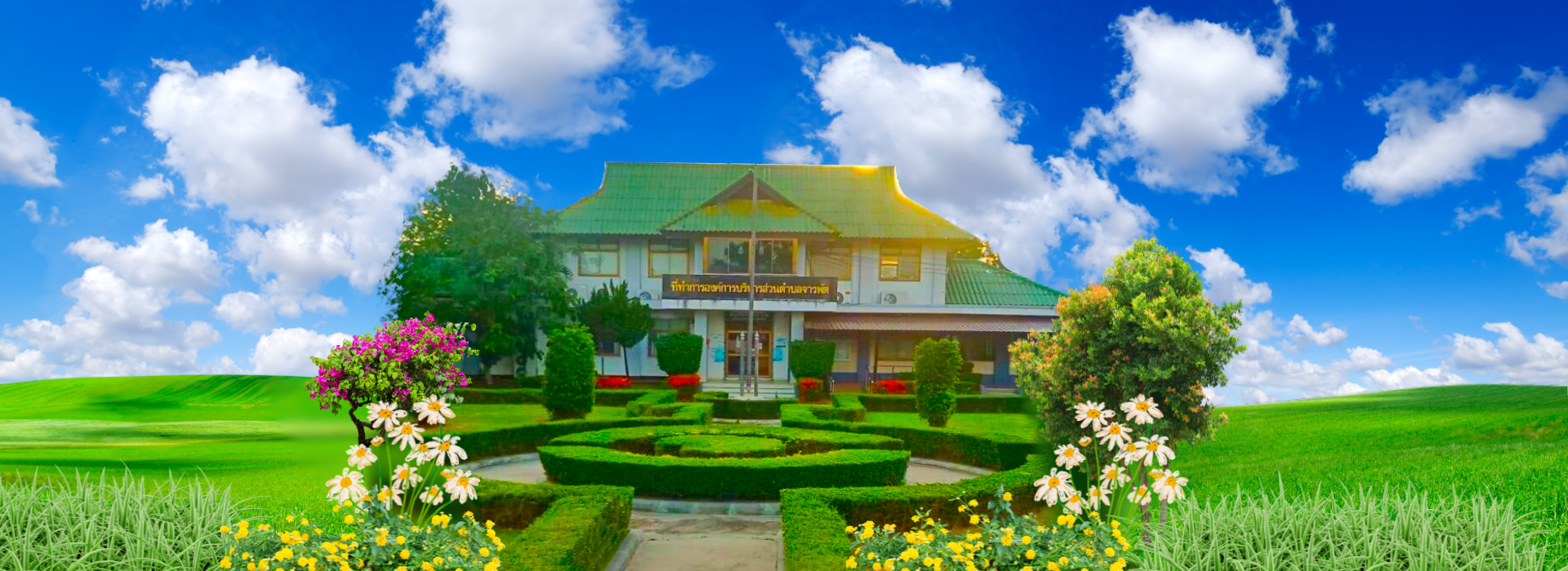 พื้นหลัง